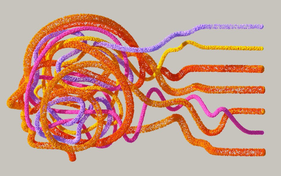 brain networks