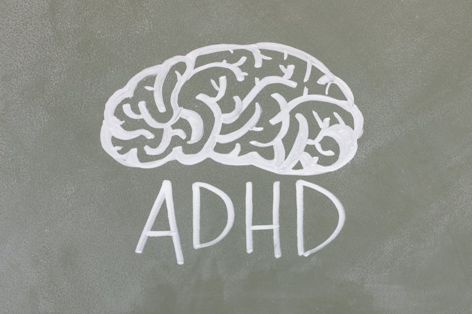 mindfulness neuroscience