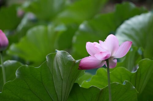 5 minute meditation