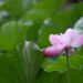 5 minute meditation