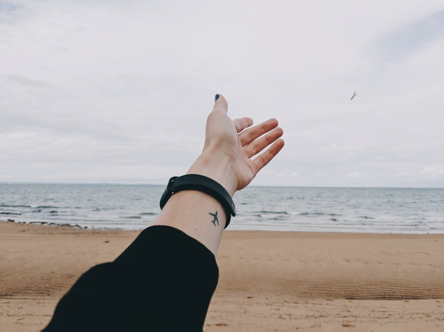 mindfulness journey