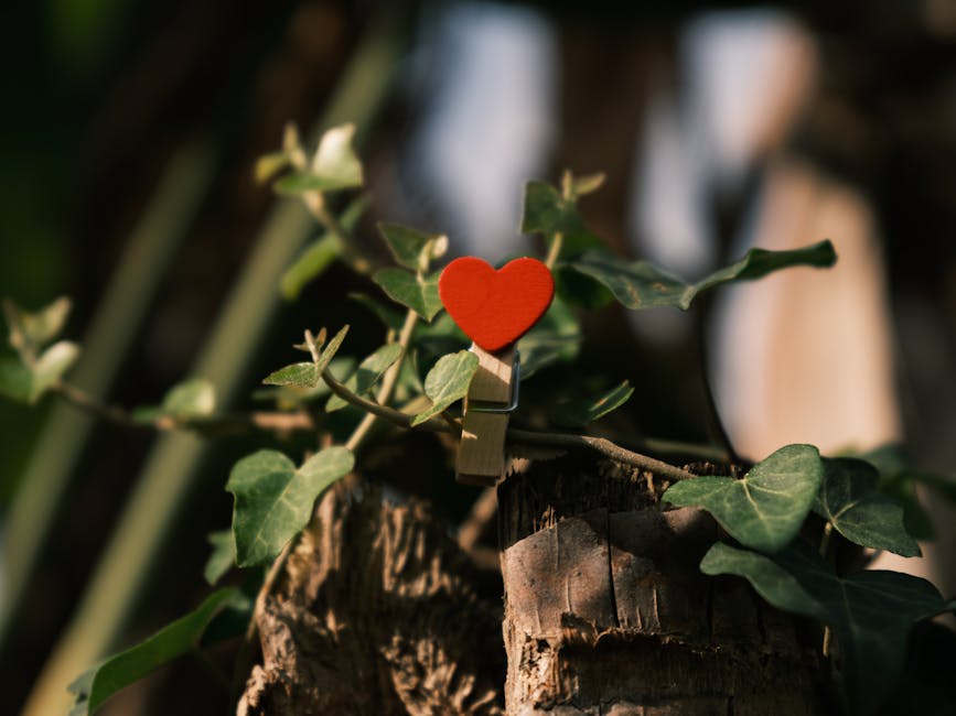 relationship growth